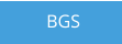 BGS